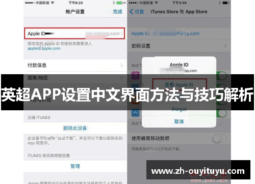 英超APP设置中文界面方法与技巧解析